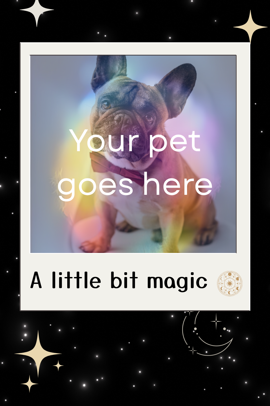 Placeholder image with a dog and text 'Your pet goes here' on a black background with star decorations.