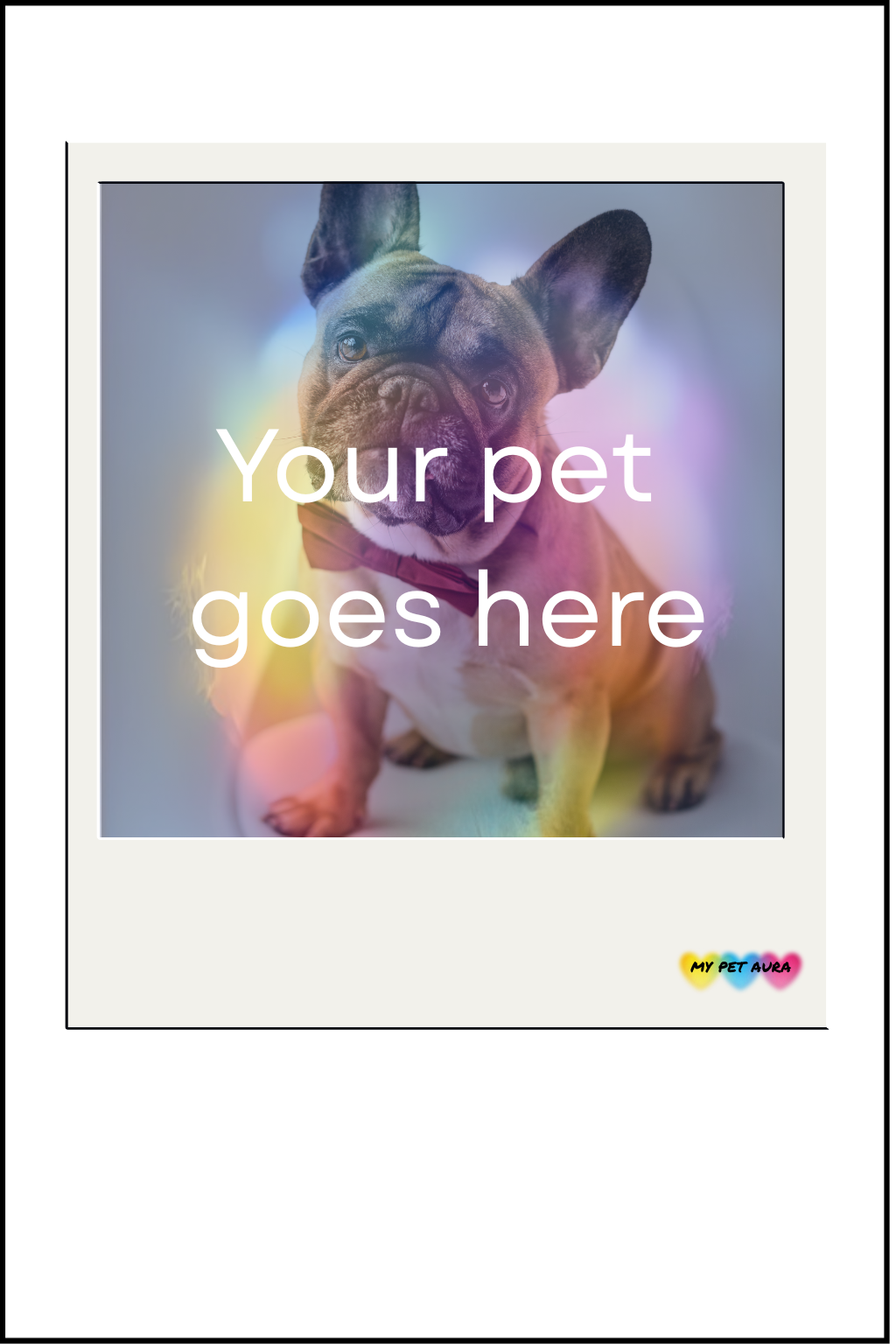 Bonus Bundle: Pet Aura Portrait, Reading & Physical Picture