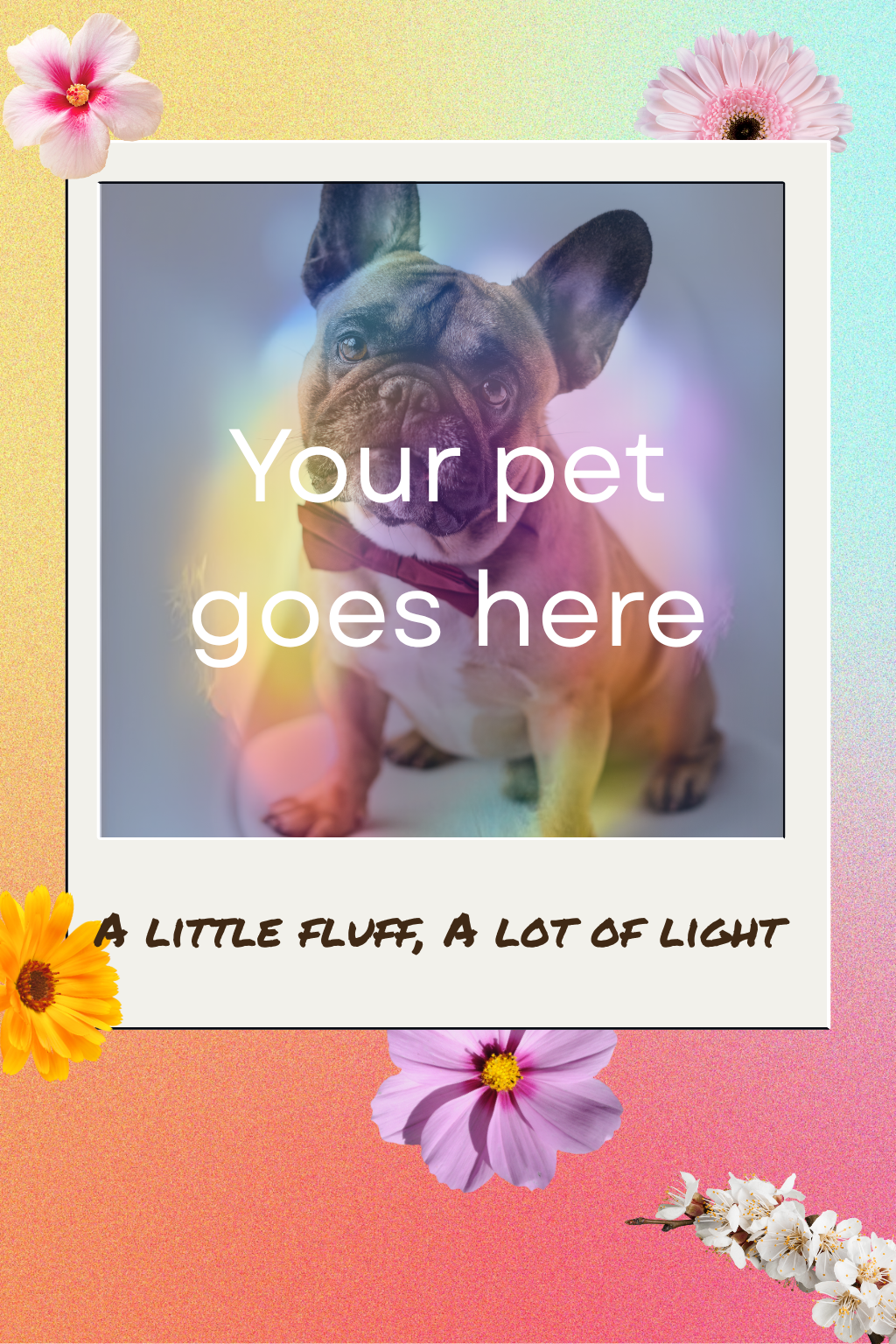 Placeholder image with a dog and text 'Your pet goes here' on a colorful background with flowers.