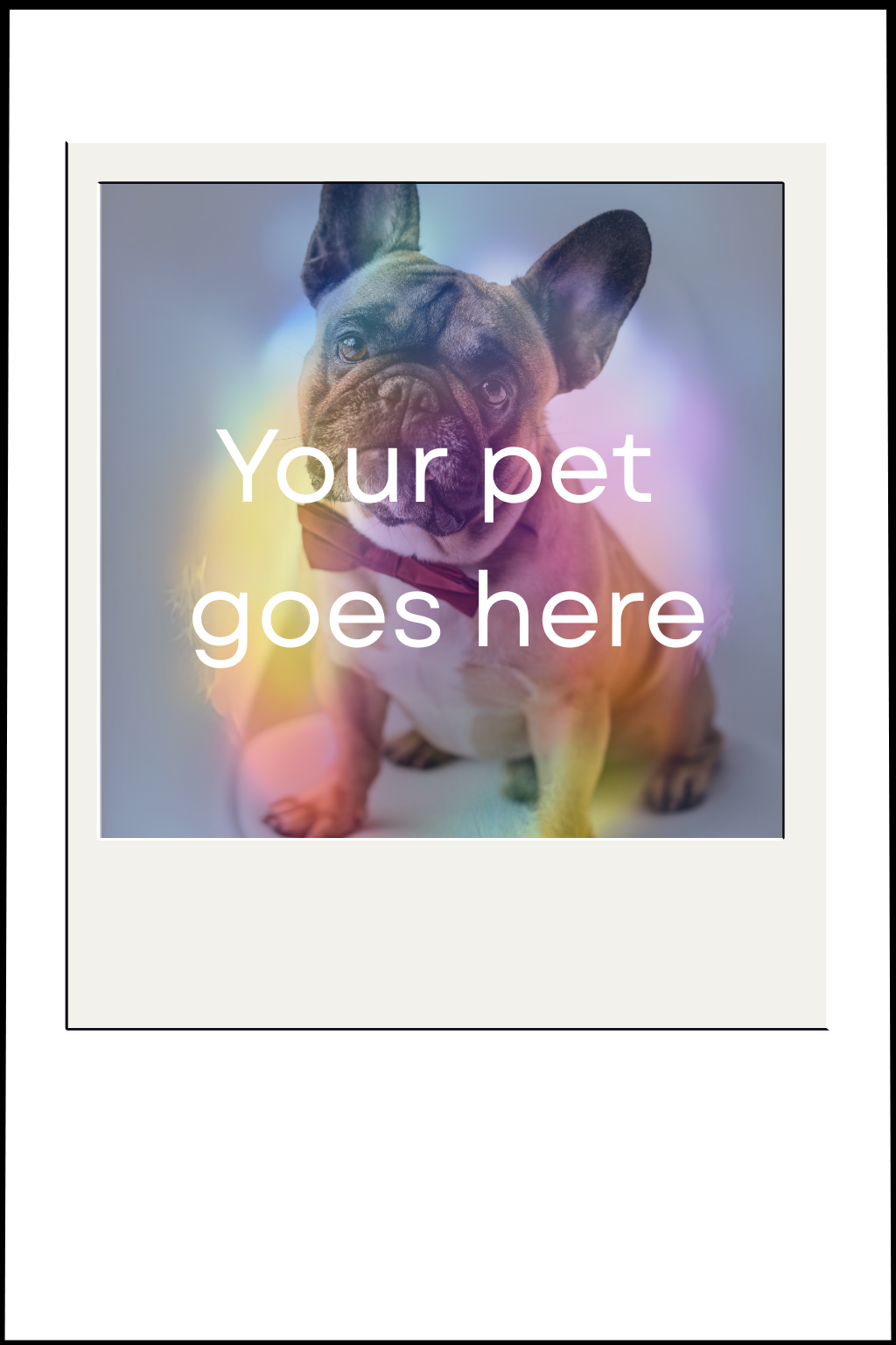 Placeholder photo of a dog with text 'Your pet goes here' inside a Polaroid-style frame.