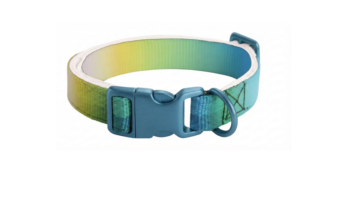 Collar - Level Headed