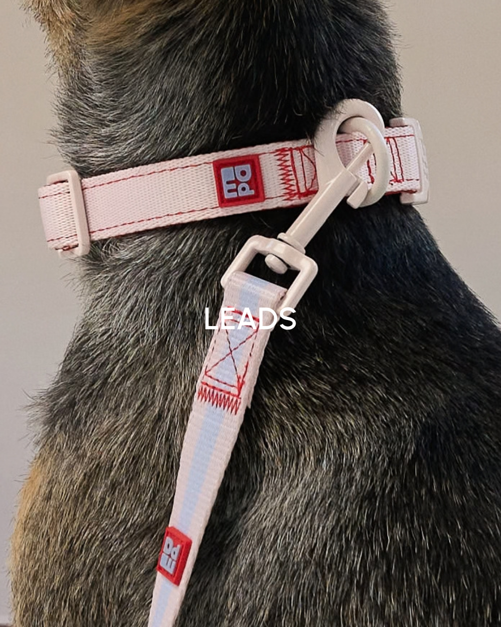 My Pet Aura pastel ombré dog lead with matching collar, featuring pink hardware and red stitching. Click here to see our range of dog leads.
