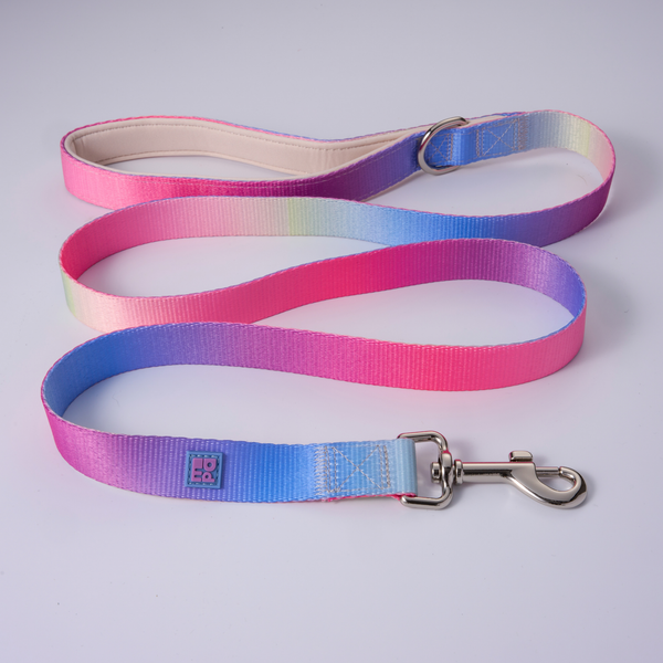 A pet leash with a vibrant blue, pink, and yellow gradient design, featuring a silver metal clasp and a small square brand tag.