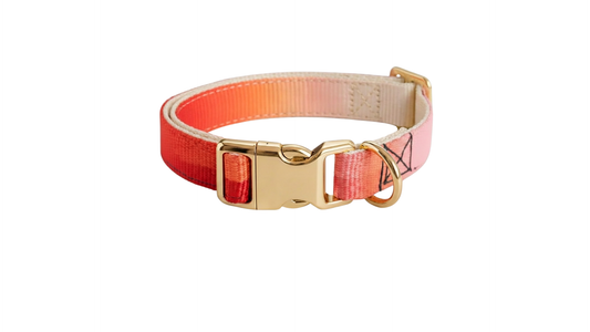 Collar - Main Character Energy