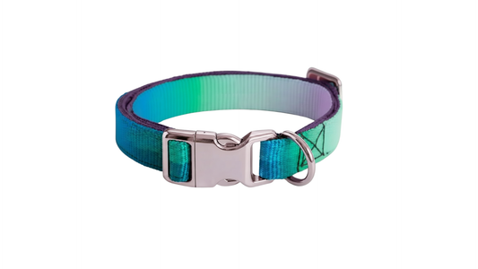 Collar - Close Companion