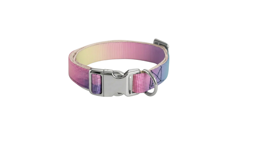 Collar - Elegant Menace