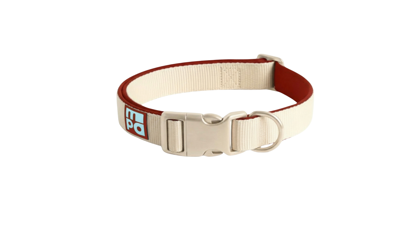 Collar - Grounded Icon