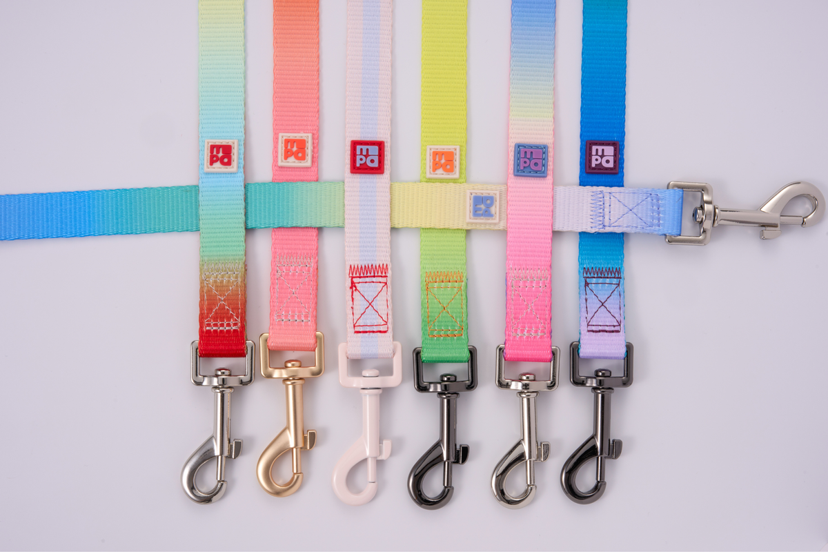 Six colorful dog leashes with gradient patterns and metal clamps, arranged vertically on a light background.