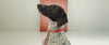 Video showing a range of dogs, each in a different brightly coloured set of lead and collar