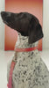 Video showing a range of dogs, each in a different brightly coloured set of lead and collar