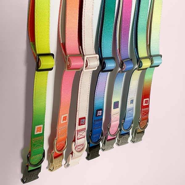 Seven colorful adjustable collars with metal buckles hanging vertically against a light pink background. The straps feature gradient color transitions in shades of green, yellow, orange, pink, blue, and purple, with small square brand tags near the bottom.