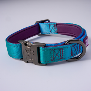 A dog collar with a teal and purple woven pattern, featuring a dark metal quick-release buckle and a D-ring, shown on a light gray background.