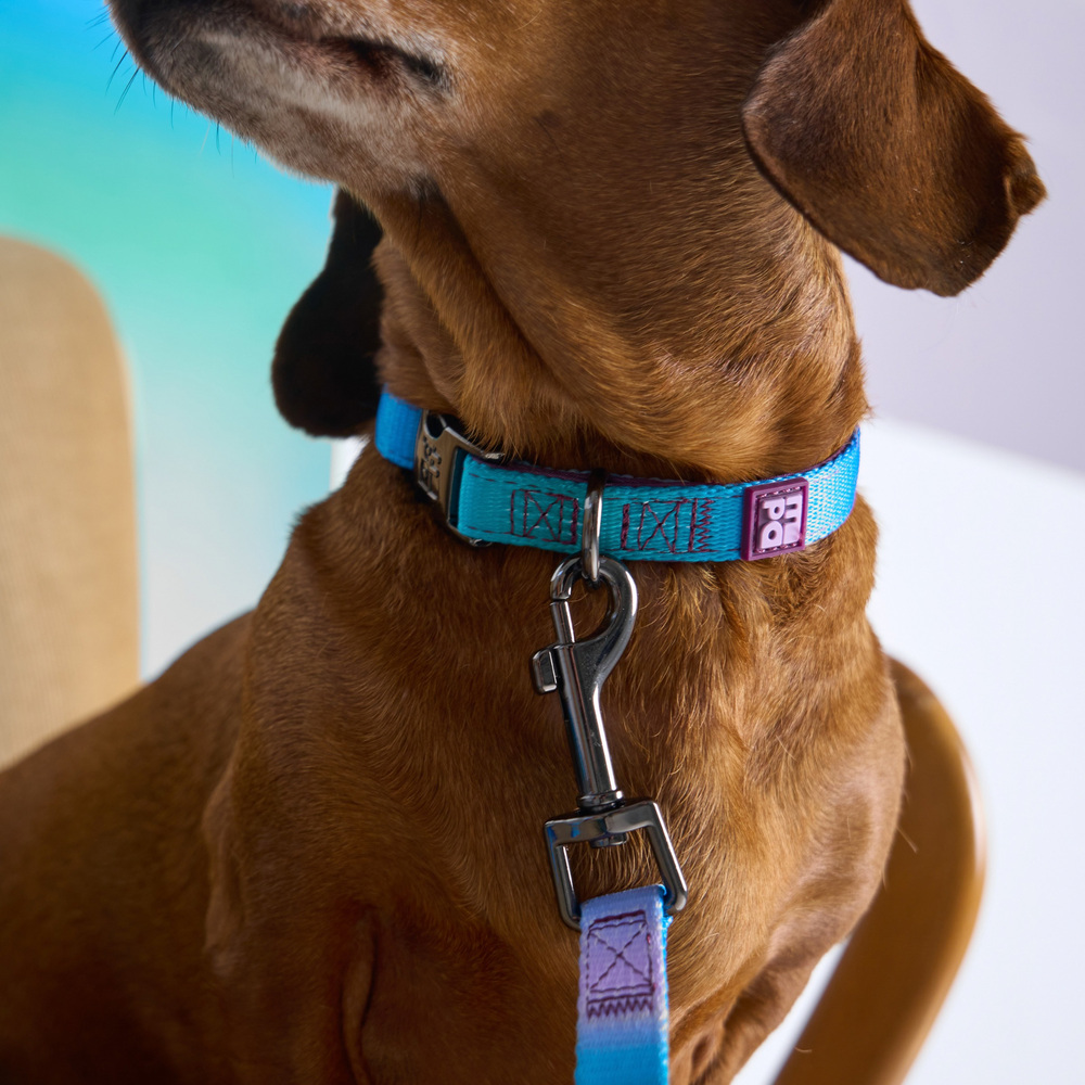 A dog collar with a teal and purple woven pattern, featuring a dark metal quick-release buckle and a D-ring, shown on a light gray background.