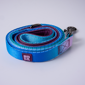 A coiled blue dog leash with a purple inner lining, a metal snap hook clasp, and a small square brand patch on a light gray background.