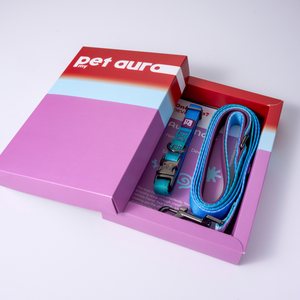 An open pink and red gift box labeled 'pet aura' containing a blue pet collar and matching blue strap, photographed on a clean white background.