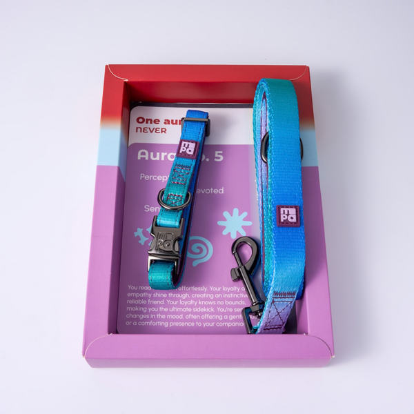 A pet collar and matching leash set in a bright blue and purple colorway, presented inside a pink and red gift box with printed packaging insert. The brand name 'MPA' is visible on the collar's tag.