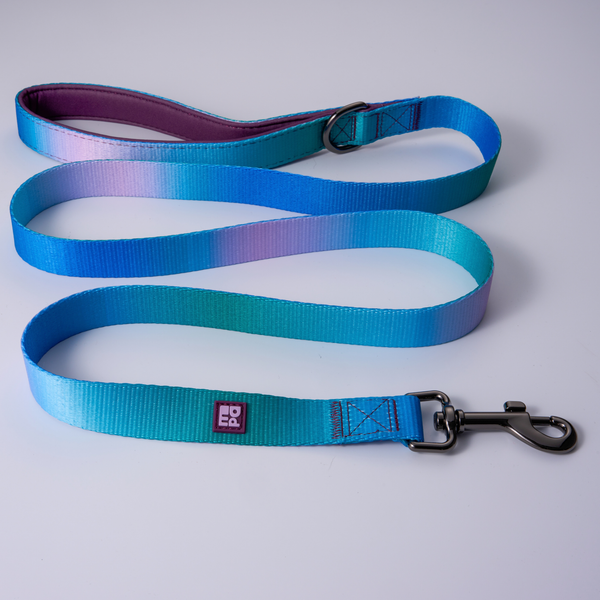 A pet leash with a vibrant blue, green, and purple gradient design, featuring a gray metal clasp and a small square brand tag.