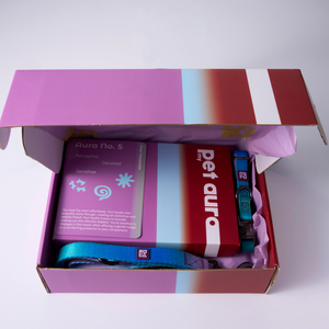 An open gift box containing a pink and red card labeled 'Aura No. 5', a red box labeled 'pet aura', and blue pet collar and lead, photographed on a clean white background.
