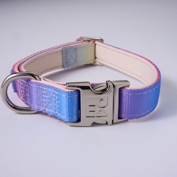 A pet collar with a vibrant blue-to-purple iridescent woven strap, a cream-colored interior, and a silver metal buckle and D-ring, shown on a light gray background.