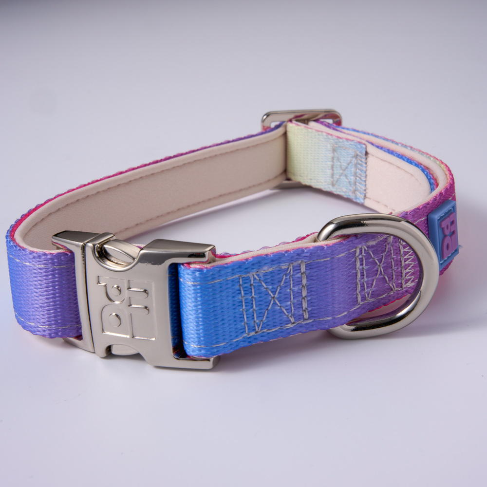 A close-up shot of a dog collar on a light gray background. The collar features a vibrant blue and purple gradient woven fabric with silver metal hardware, including a buckle, D-ring, and a small blue tag with the logo 'MPA'.