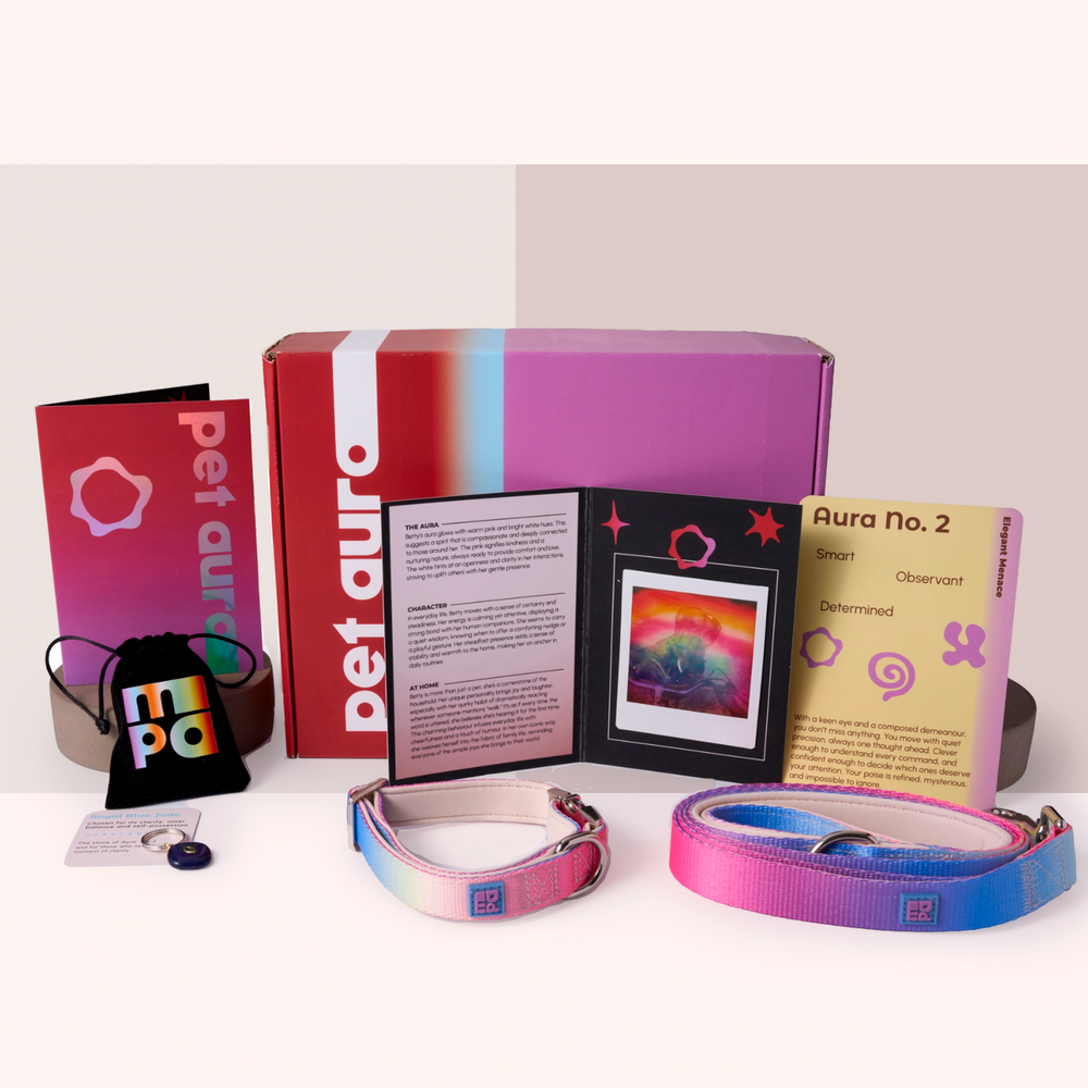 A pet accessory set displayed on a white background, including a pink and purple gradient collar, a blue and purple gradient leash, a red and purple branded box, an open booklet, a small black pouch with a logo, and a small card.
