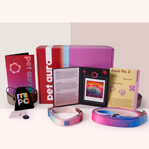 A pet accessory set displayed on a white background, including a pink and purple gradient collar, a blue and purple gradient leash, a red and purple branded box, an open booklet, a small black pouch with a logo, and a small card.