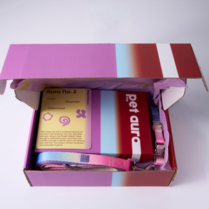 An open gift box containing a pink and red card labeled 'Aura No. 2', a red box labeled 'pet aura', and blue, yellow, pink pet collar and lead, photographed on a clean white background.