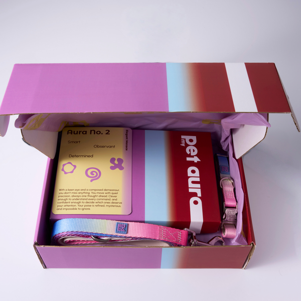 An open gift box containing a pink and red card labeled 'Aura No. 2', a red box labeled 'pet aura', and blue, yellow, pink pet collar and lead, photographed on a clean white background.