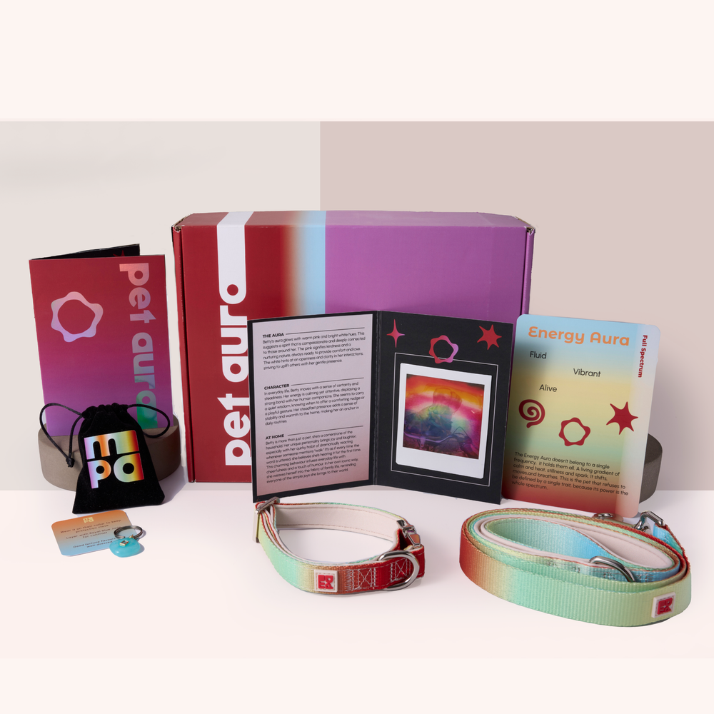 A pet collection displayed on a white background, including a red and purple Pet Aura box, a black drawstring pouch, a small charm, a booklet, and rainbow dog collars and lead.