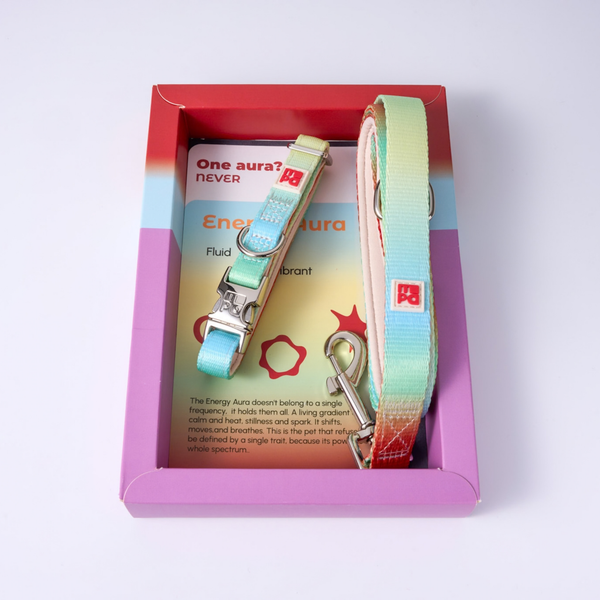 A pet accessory set in a pink and red gift box, featuring a pastel rainbow lead and collar with a silver metal clasp and a matching card.
