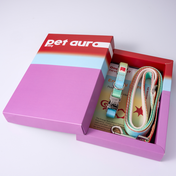 A pet accessory set in a purple and red box, featuring a light rainbow lead and collar with a metal clasp and a red-and-white 'pet aura' box lid.