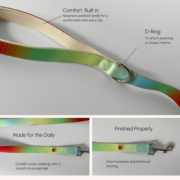 A dog leash with a rainbow gradient strap, shown with callout labels highlighting its neoprene padded handle, D-ring, woven webbing, and silver hardware on a light gray background.