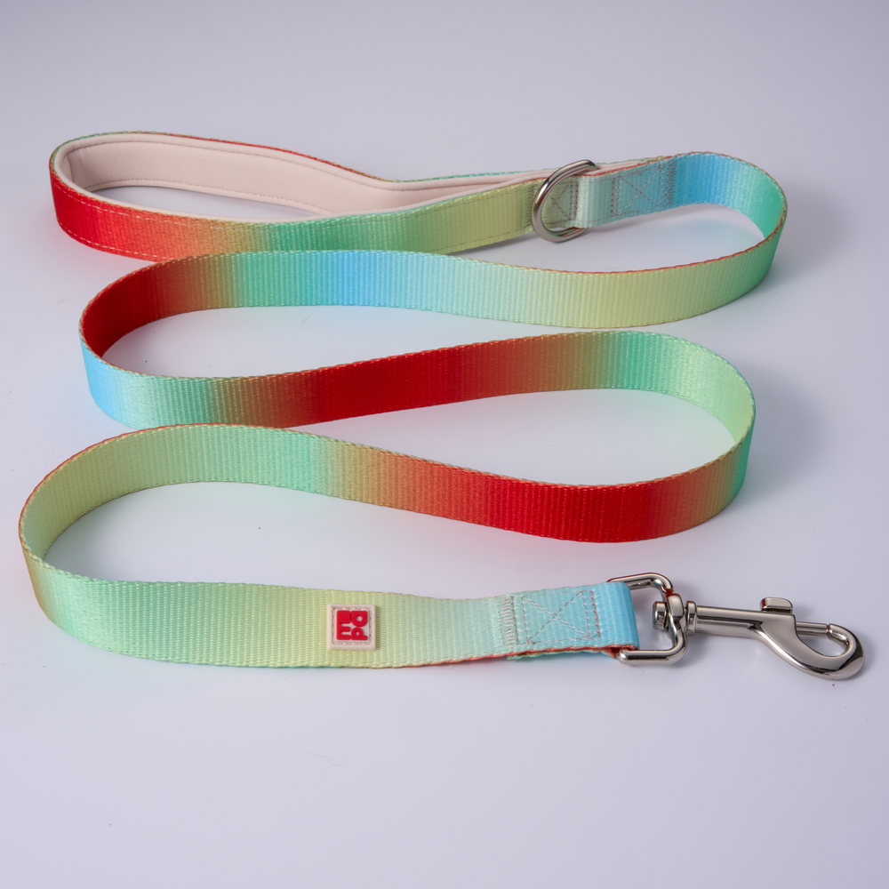 A rainbow striped fabric dog leash with a white interior lining, beige metal buckle, and a white square logo patch, shown on a light gray background.