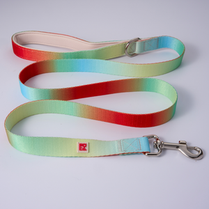 A rainbow striped fabric dog leash with a white interior lining, beige metal buckle, and a white square logo patch, shown on a light gray background.