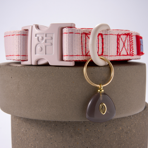 A white dog collar with red stitching, a white metal buckle, and a key ring holding a black stone charm with a gold accent, displayed on a gray cylindrical pedestal.