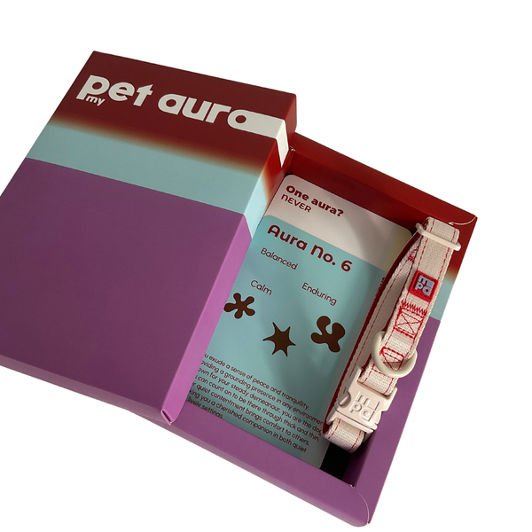 A pet collar presented inside an open branded box. The collar is light beige with red printed markings.