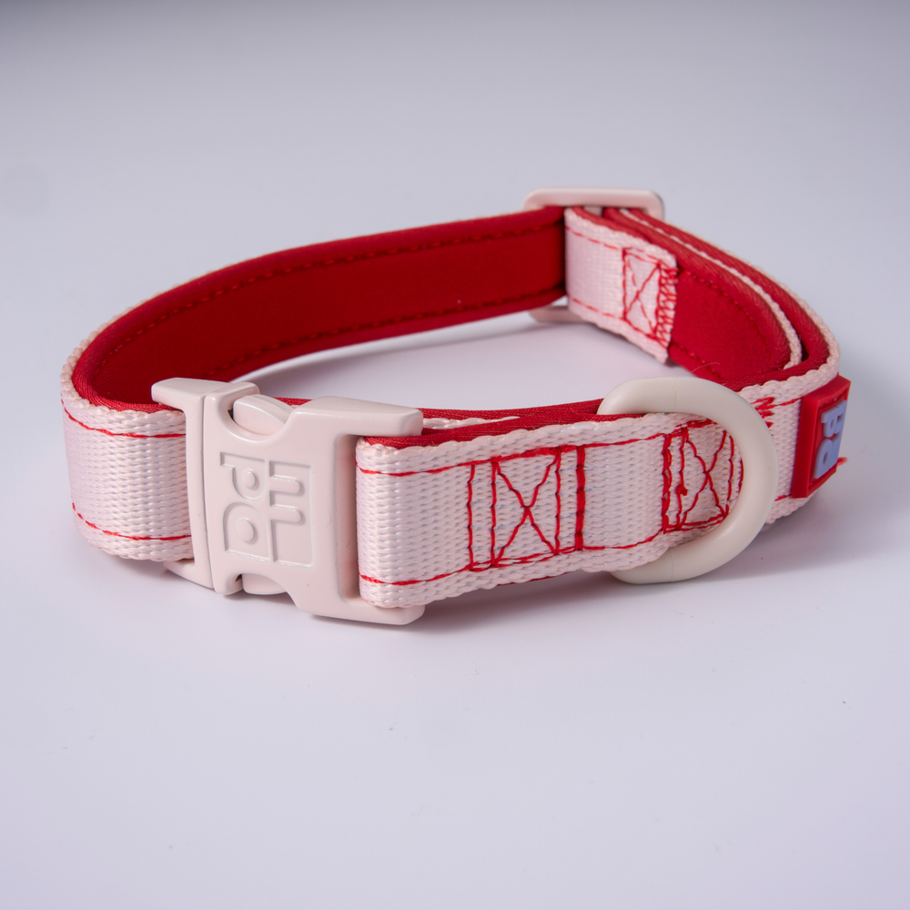 A close-up of a dog wearing a white and red harness with a metal clip, shown in a real indoor setting.
