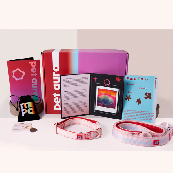 A pet collection displayed on a white background, including a red and purple Pet Aura box, a pink and purple, a black drawstring pouch, a small charm, a booklet, and a pink-and-white dog collars and lead.