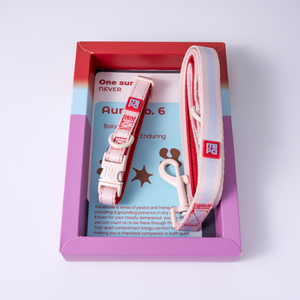 A white pet collar and matching leash presented in a decorative gift box with printed cards, photographed on a clean white background.