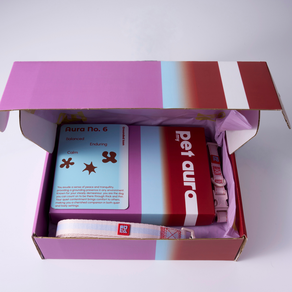 A pet collection displayed on a white background, including a red and purple Pet Aura box, a pink and purple, a black drawstring pouch, a small charm, a booklet, and a pink-and-white dog collars and lead.