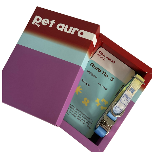 A pet accessory gift set in a colorful box, featuring a light blue collar with a gold-tone metal ring and a matching blue and white card labeled 'Aura No. 3'.