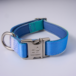 A blue and teal woven dog collar with a silver metal buckle and D-ring, shown on a light gray background.