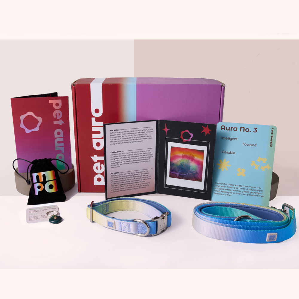 A pet accessory gift set displayed on a white background, including a purple and red 'pet aura' box, a black drawstring pouch with a colorful 'pet aura' tag, an instruction booklet, a photo frame, a blue, yellow and green dog collar and lead.