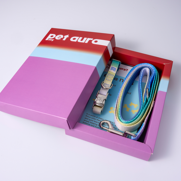 A pet accessory gift set in a colorful box, featuring a silver metal collar with a matching leash and a blue leash strap with pastel rainbow stripes. The set is presented in a pink, purple, and red box with the brand name 'pet auro' visible on the lid.