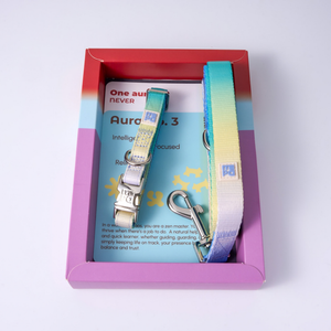 A pet collar and leash set presented inside a pink and red gift box. The set includes a small collar with a turquoise and yellow gradient strap, and a matching gradient leash with a silver metal clip.