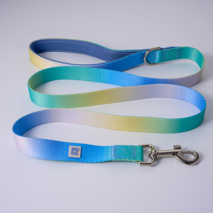 A pet leash with a vibrant blue, green, and yellow gradient design, featuring a silver metal clasp and a small square brand tag.
