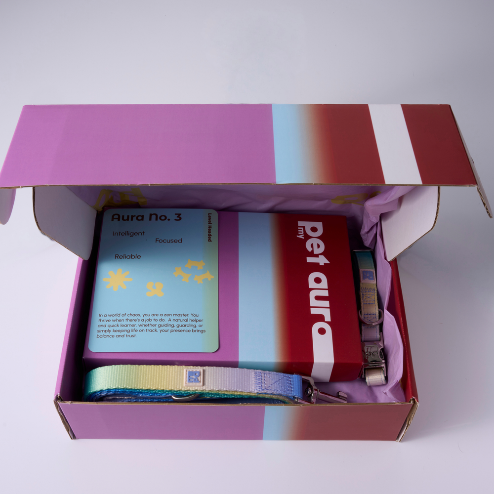 A pet accessory gift set displayed on a white background, including a purple and red 'pet aura' box, a black drawstring pouch with a colorful 'pet aura' tag, an instruction booklet, a photo frame, a blue, yellow and green dog collar and lead.