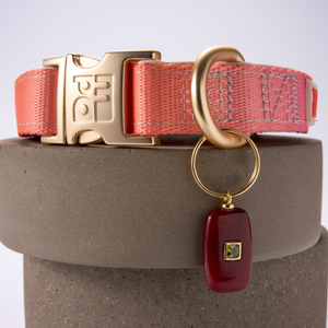 A coral pink woven dog collar with a gold-tone metal buckle engraved with 'MPA', a gold D-ring, and a dark red rectangular charm with a small green gemstone, displayed on a textured gray cylindrical pedestal.