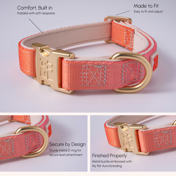 A pink and white patterned pet collar with gold hardware, shown in a multi-panel product graphic with feature callouts including 'Comfort, Built in', 'Made to Fit', 'Secure by Design', and 'Finished Properly'.