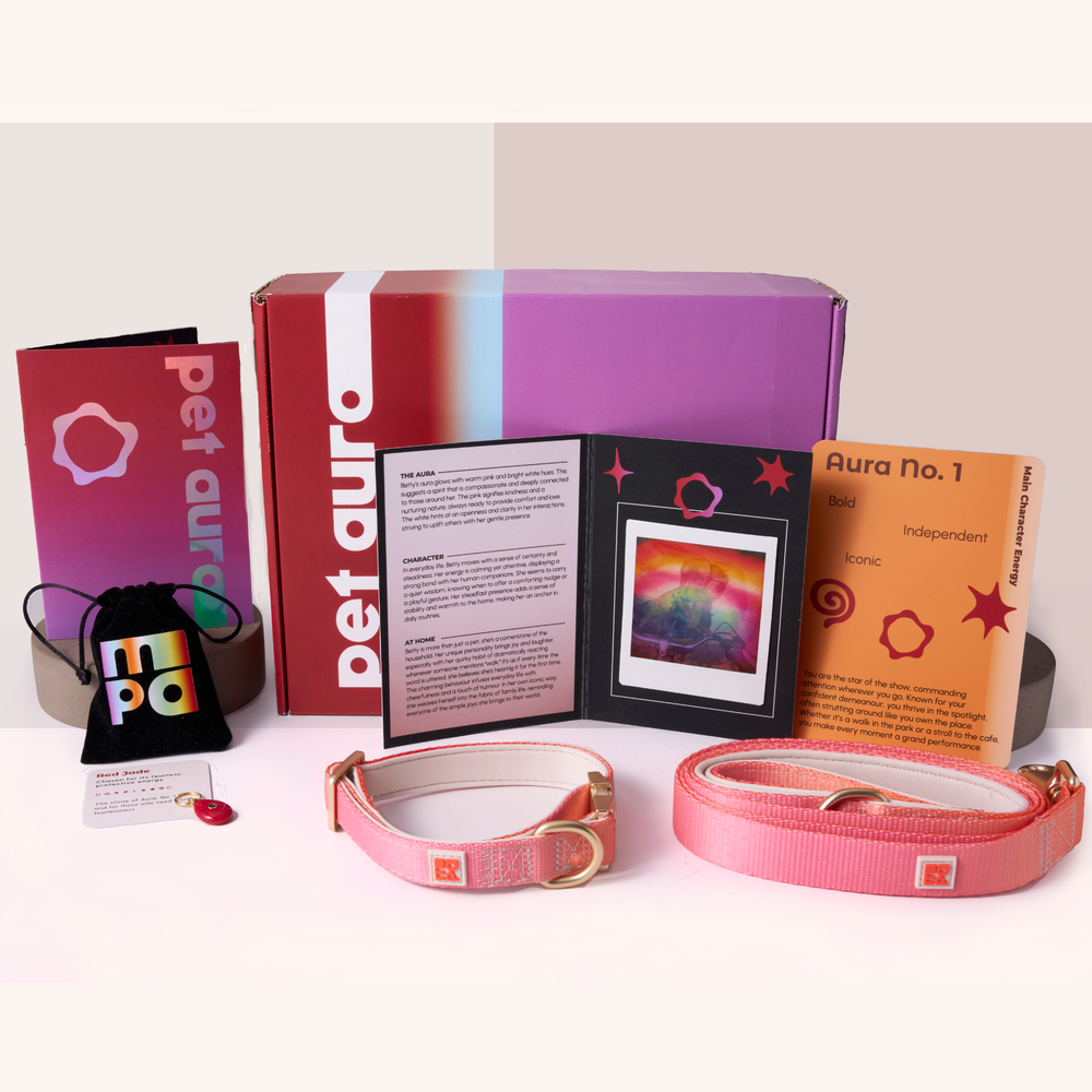 A pet aura complete collection displayed on a white background, featuring a pink dog collar, a pink leash, a purple and pink 'pet aura' box, a small black pouch with 'mpo' printed on it, a booklet, and an orange card labeled 'Aura No. 1'.